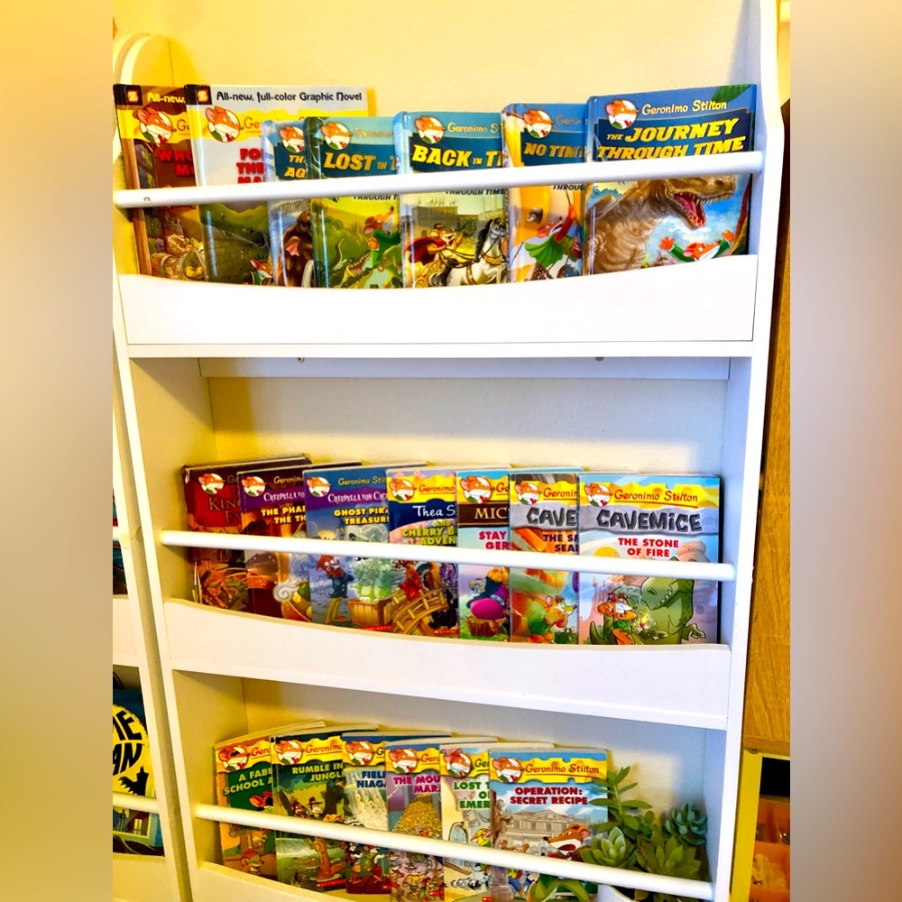 20 Geronimo Stilton books, all in perfect condition, 50$ for all, 6$ each